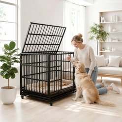 Yafylly Heavy Duty Indestructible Folding Metal Big Dog Crate with Wheels & Removable Plastic Tray, Black, Large: 48-in