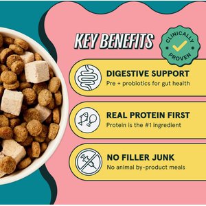 Kismet Gut Health Chicken & Barley Recipe with Probiotics & Freeze-Dried Nugs Dry Dog Food, 19-lb bag