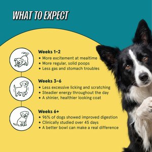 Kismet Gut Health Chicken & Barley Recipe with Probiotics & Freeze-Dried Nugs Dry Dog Food, 19-lb bag