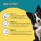 Show in main carousel: Kismet Gut Health Chicken & Barley Recipe with Probiotics & Freeze-Dried Nugs Dry Dog Food, 9-lb bag slide 5 of 10