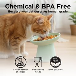 Necoichi Basic Edition Tilted Extra Wide Stress Free Raised Elevated Cat Food Bowl, Smoky Mint/Lilac Ice, 2-cup, 2 count slide 2 of 9