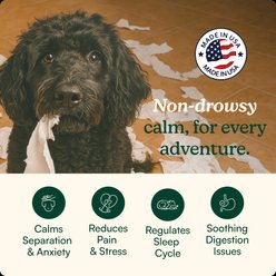 Reggie Anytime Calming Chew Peanut Butter & Pork Flavored Soft Chew Calming Supplement for Dogs, 60 count slide 2 of 7