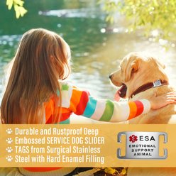 Leash King ESA Slide-On ID Badge PVD Gold Surgical Steel Dog Tag fits 1-in Collar, Small slide 2 of 6