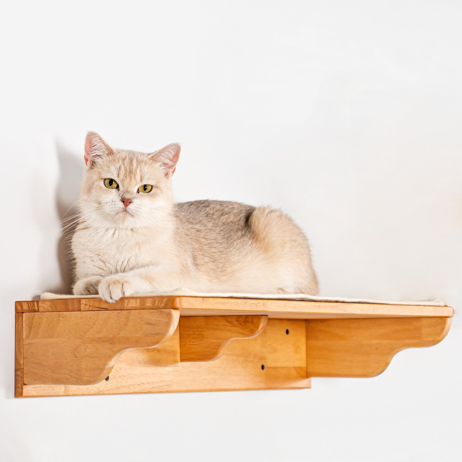 PETOMG 23.6-in Cat Wall Shelf, Wood Color, Medium