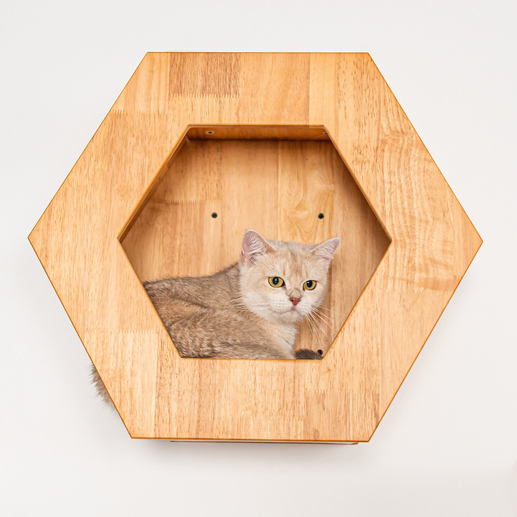 PETOMG Octagon House Cat Wall Shelf, Wood Color, Medium