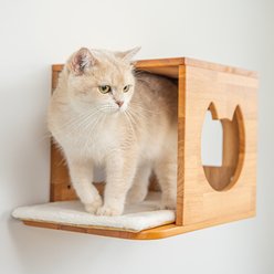 PETOMG Wall Mounted House Cat Wall Shelf, Wood Color, Medium