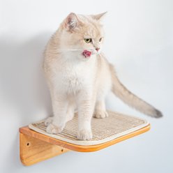 PETOMG 11.8-in Cat Wall Shelf