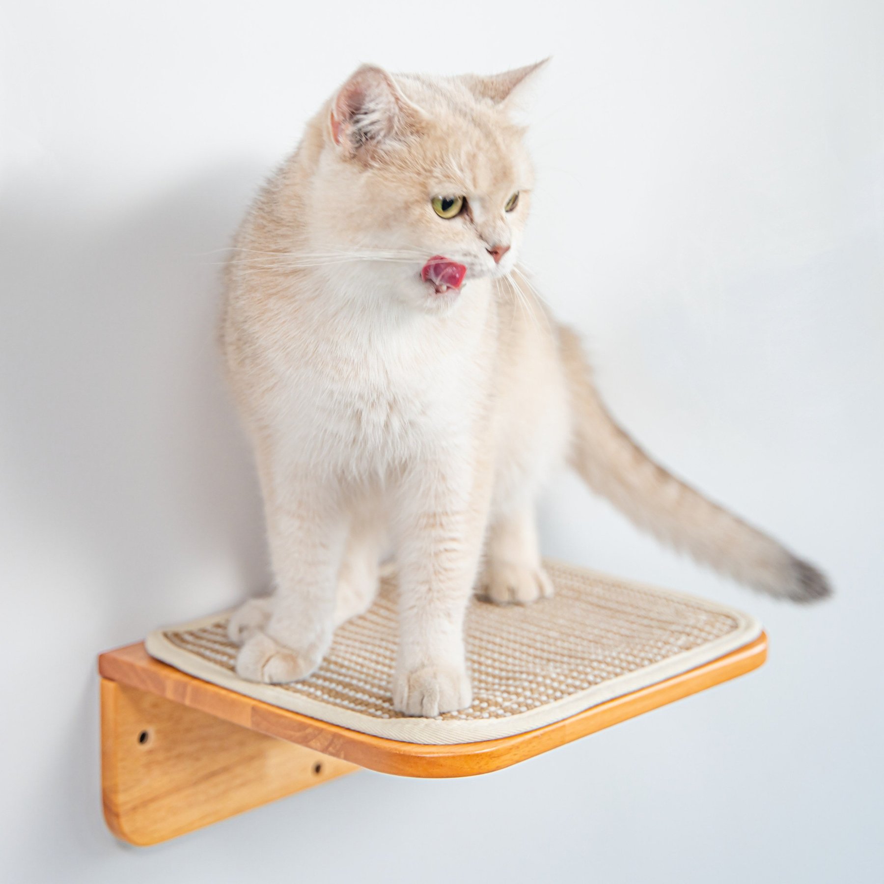 PETOMG 11.8-in Cat Wall Shelf