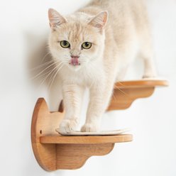 PETOMG Cat Wall Shelf, 2 count slide 2 of 8