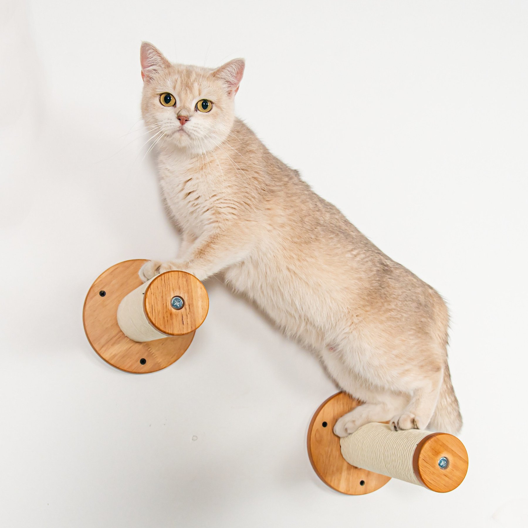 PETOMG Scratching Post Cat Wall Shelves, 2 count