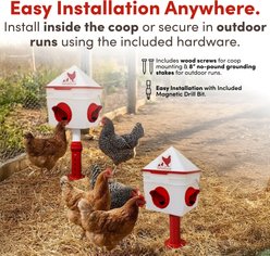 RentACoop Chick2Chicken BPA-Free 4-Port Feeder, 10-lb slide 2 of 9