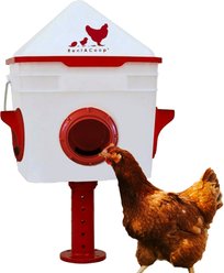 RentACoop Chick2Chicken BPA-Free 4-Port Feeder, 10-lb slide 1 of 9
