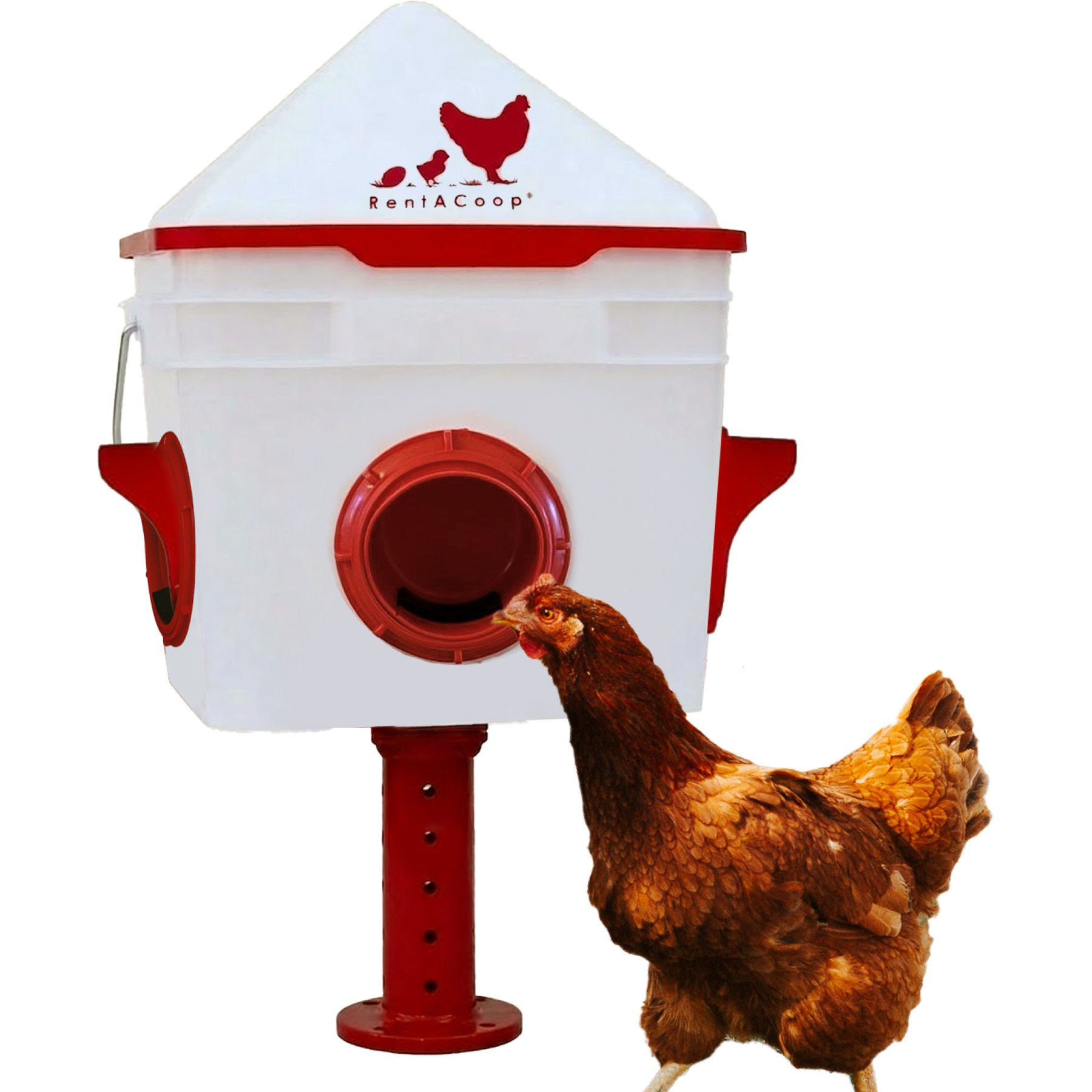 RentACoop Chick2Chicken BPA-Free 4-Port Feeder, 10-lb