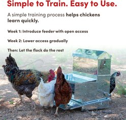 RentACoop Automatic Metal Poultry Treadle Feeder, 40-lb slide 2 of 9
