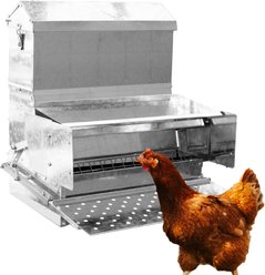 RentACoop Automatic Metal Poultry Treadle Feeder, 40-lb