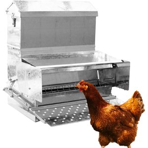 RENTACOOP Anti-Roost Center Placed Chicken Waterer, 2-gal - Chewy.com
