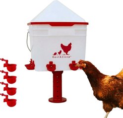 RentACoop Anti-Roost Corner Placed Chicken Waterer, 2-gal