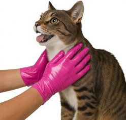 FifthPulse Nitrile Exam Latex & Powder Free Gloves Fuchsia Dog Wound Care, 200 count, Medium slide 2 of 5