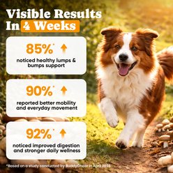 BuddyCheer Nutritional Immune Support Mushroom Flavored Powder Supplement for Dogs & Cats, 5.29-oz slide 2 of 9