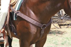 Professional's Choice Neoprene Horse Breast Collar, Brown