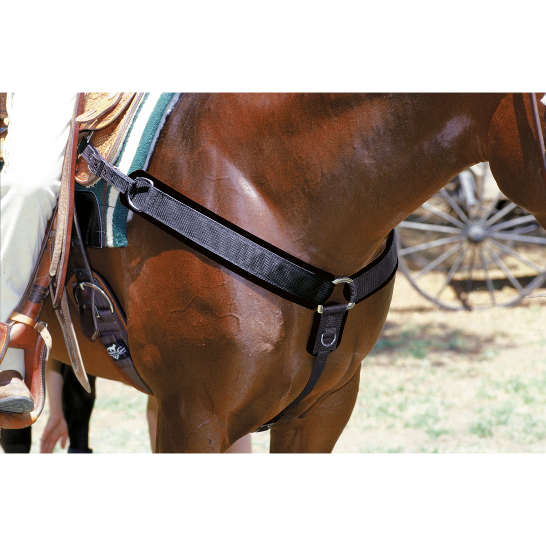 Professional's Choice Neoprene Horse Breast Collar, Black