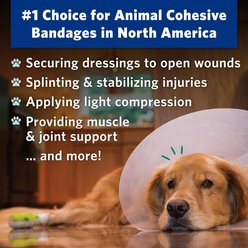 OVIK Health PetFlex Paw Pack Dog, Cat & Small Animal Bandage, 2-in, 2 count slide 2 of 9