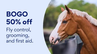 deals on horse