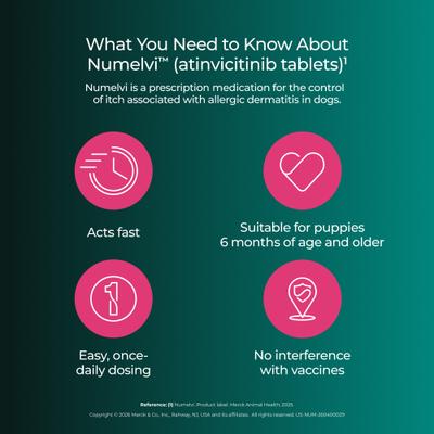 NUMELVI (atinvicitinib) Tablets for Dogs, 21.6-mg - Easy Refills | Chewy Rx