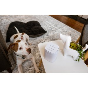 Yogasleep Pawzz Home Dog Sound Machine, White