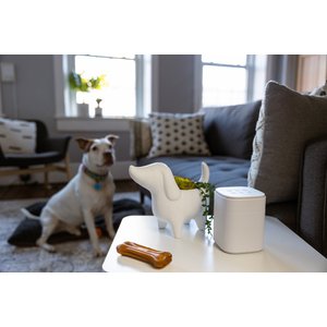 Yogasleep Pawzz Home Dog Sound Machine, White