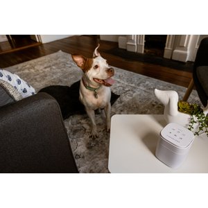 Yogasleep Pawzz Home Dog Sound Machine, White