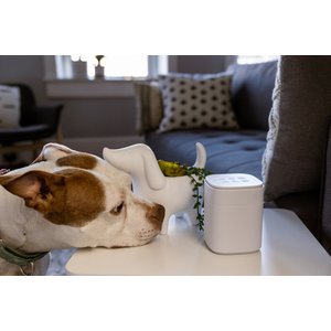 Yogasleep Pawzz Home Dog Sound Machine, White