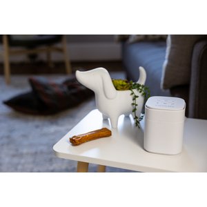 Yogasleep Pawzz Home Dog Sound Machine, White