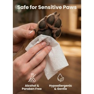 Pogi's Pet Supplies Deodorizing Wipes for Dogs & Cats, 100 count, Unscented