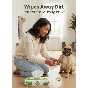 Pogi's Pet Supplies Deodorizing Wipes for Dogs & Cats, 100 count, Unscented