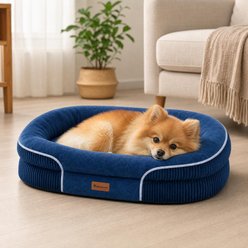 Kylinsure All-Around Orthopedic Bolster Dog Sofa Bed with Removable Cover, Navy Blue, Medium