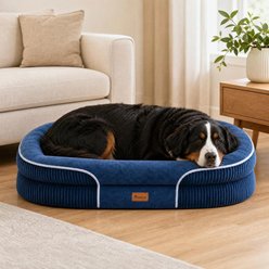 Kylinsure All-Around Orthopedic Bolster Dog Sofa Bed with Removable Cover, Navy Blue, Jumbo