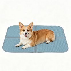 Golopet Cooling Dog Crate Mat, Blue, Medium: 28 x 18-in