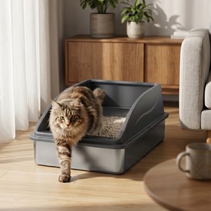 MIXJOY Open-Top Cat Litter box, X-Large, Dark Gray