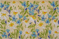 Calloway Mills Fields of Daisy Outdoor Doormat, Multi, 18 x 30-in