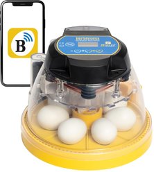 Brinsea Mini II EX Connect App-Driven Automatic 7 Chicken Egg Incubator, Yellow
