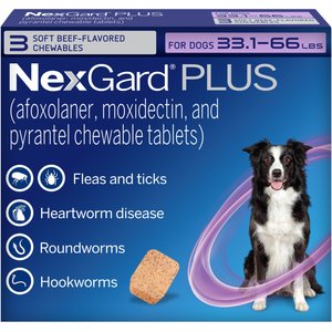 NexGard PLUS Chewables for Dogs, 33.1-66 lbs. (Purple Box) 3 Chewable Tablets (3-mos. supply)