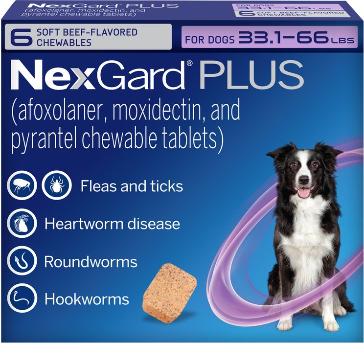 Heartworm Medicine for Dogs: Dog Heartworm Prevention (Ships Free ...