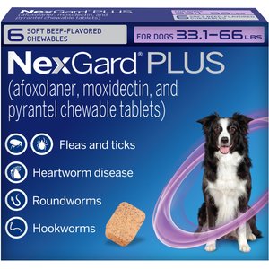 NexGard PLUS Chewables for Dogs, 33.1-66 lbs. (Purple Box) 6 Chewable Tablets (6-mos. supply)