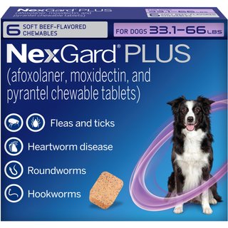 NexGard PLUS Chewables for Dogs, 33.1-66 lbs. (Purple Box) 6 Chewable Tablets (6-mos. supply) slide 1 of 8