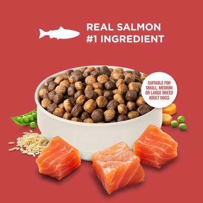 Show full view: Rachael Ray Nutrish Whole Health Blend Real Salmon, Veggies & Brown Rice Recipe Gentle Digestion Dry Dog Food, 26-lb bag slide 5 of 12
