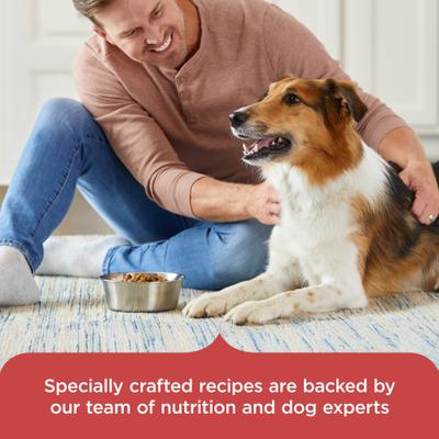 Show full view: Rachael Ray Nutrish Whole Health Blend Real Salmon, Veggies & Brown Rice Recipe Gentle Digestion Dry Dog Food, 26-lb bag slide 7 of 12