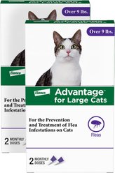 Advantage Topical Flea Prevention for Large Cats, 9 lbs+, 4-Monthly Treatments bundle