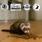 Show in main carousel: Mycelium Feeds Pellets Ferret Food, 5-lb bag slide 6 of 8