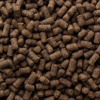 Show full view: Mycelium Feeds Pellets Ferret Food, 5-lb bag slide 3 of 8
